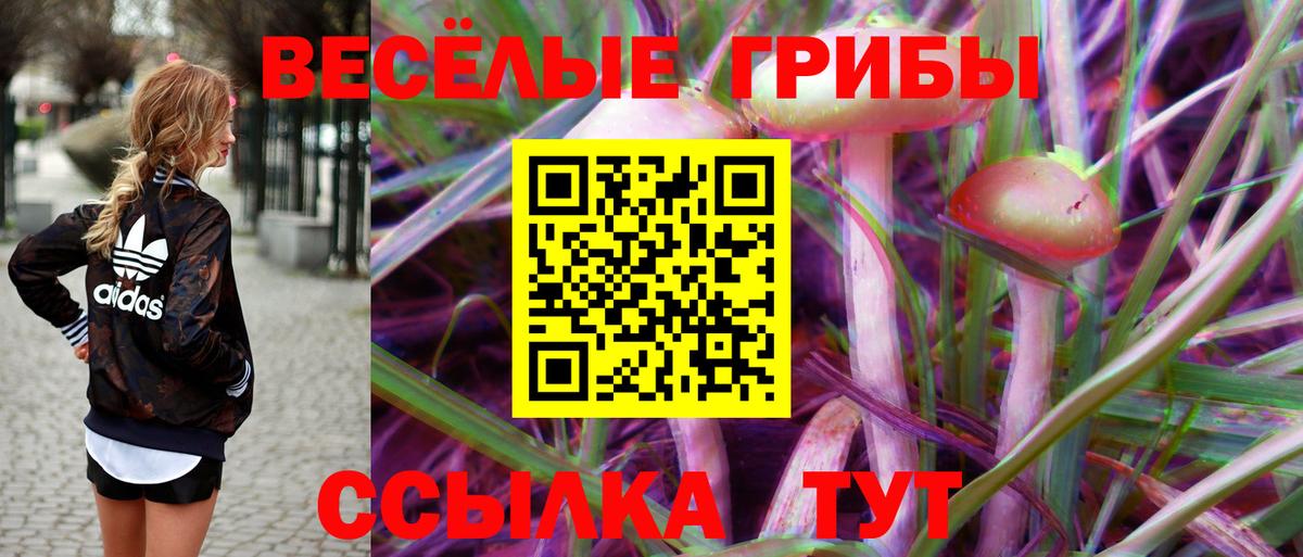 Галлюциногенные грибы прущие грибы  Галлюциногенные грибы GOLDEN TEACHER  Вход с VPN  Мирный 
